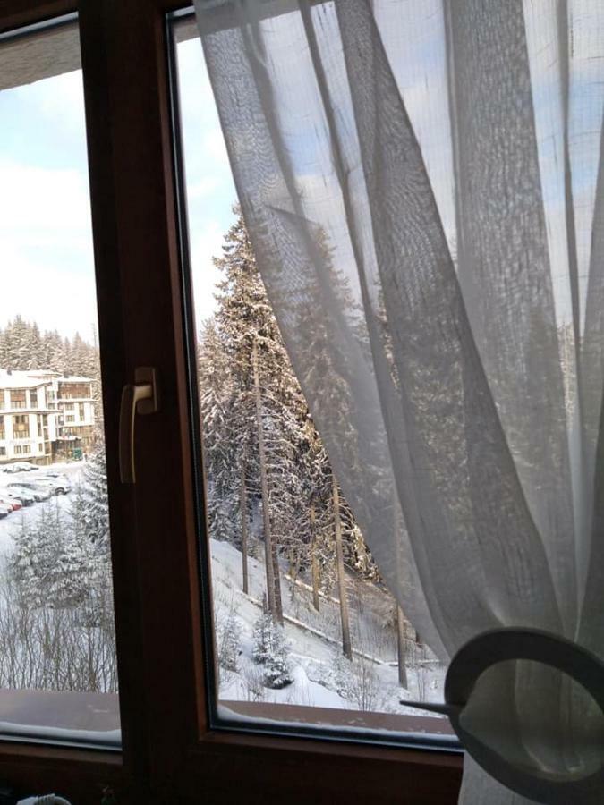Пампорово Студио Милка В Хотел Росица מראה חיצוני תמונה